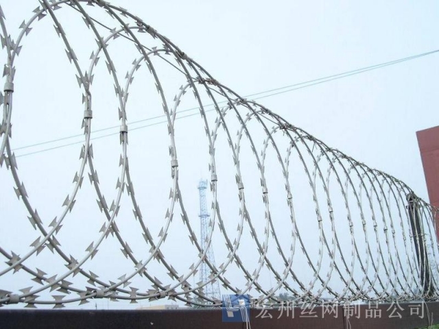 刀片刺網(wǎng)--01