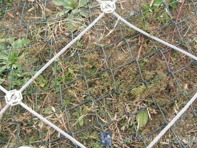 柔性防護網(wǎng)--01